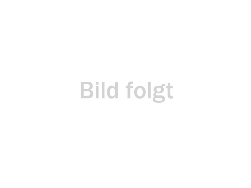 Inhalte folgen in Kürze